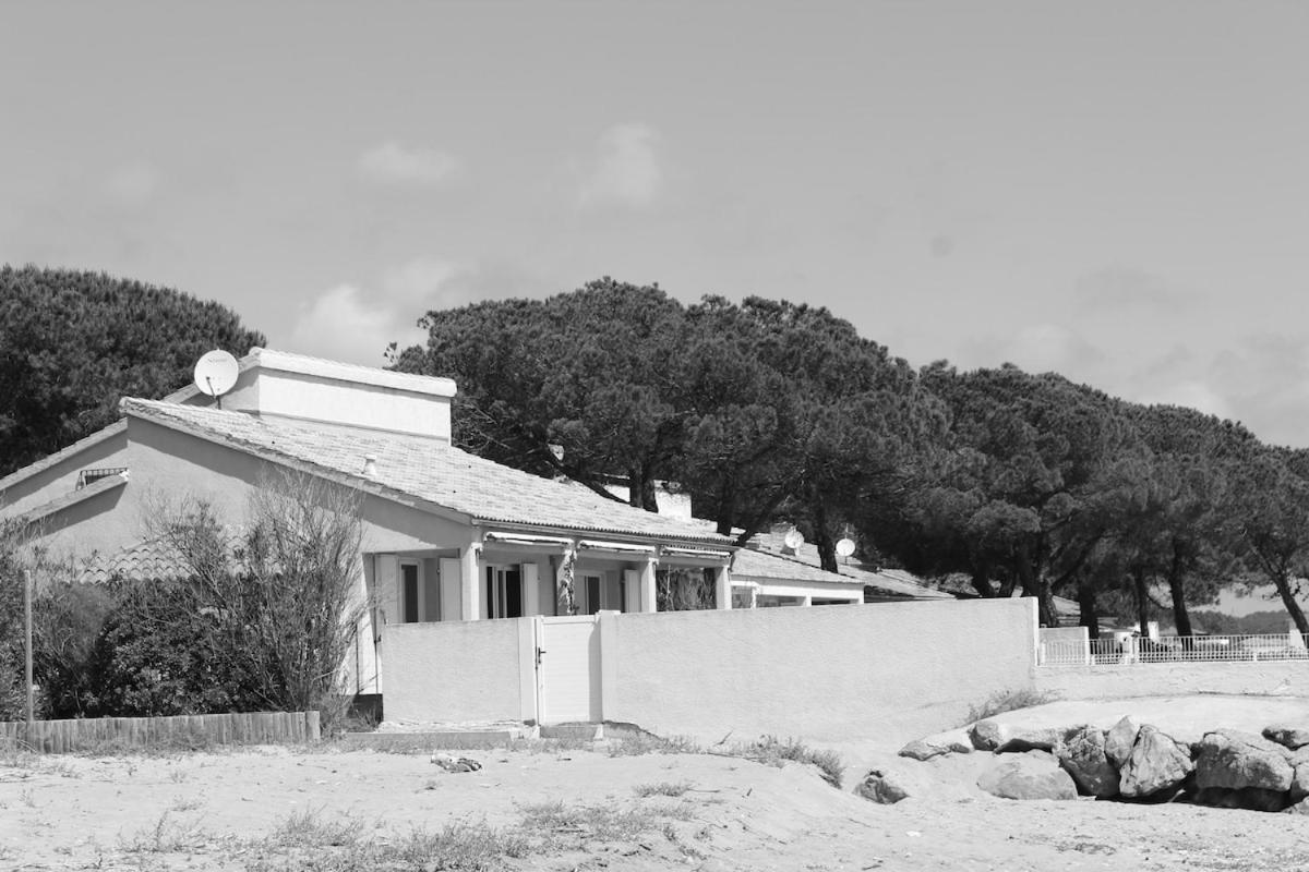 Bord de mer, pieds dans l'eau, vue panoramique Villa San-Nicolao Eksteriør bilde