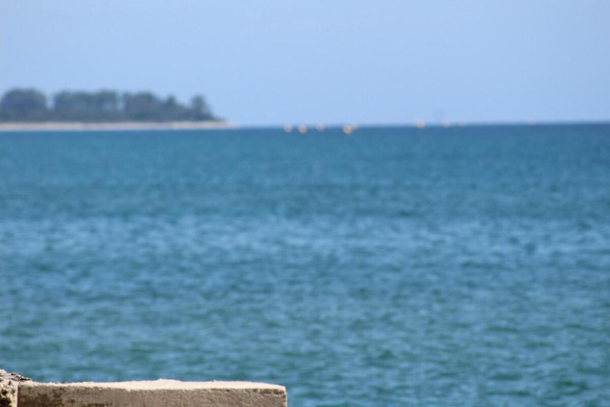 Bord de mer, pieds dans l'eau, vue panoramique Villa San-Nicolao Eksteriør bilde