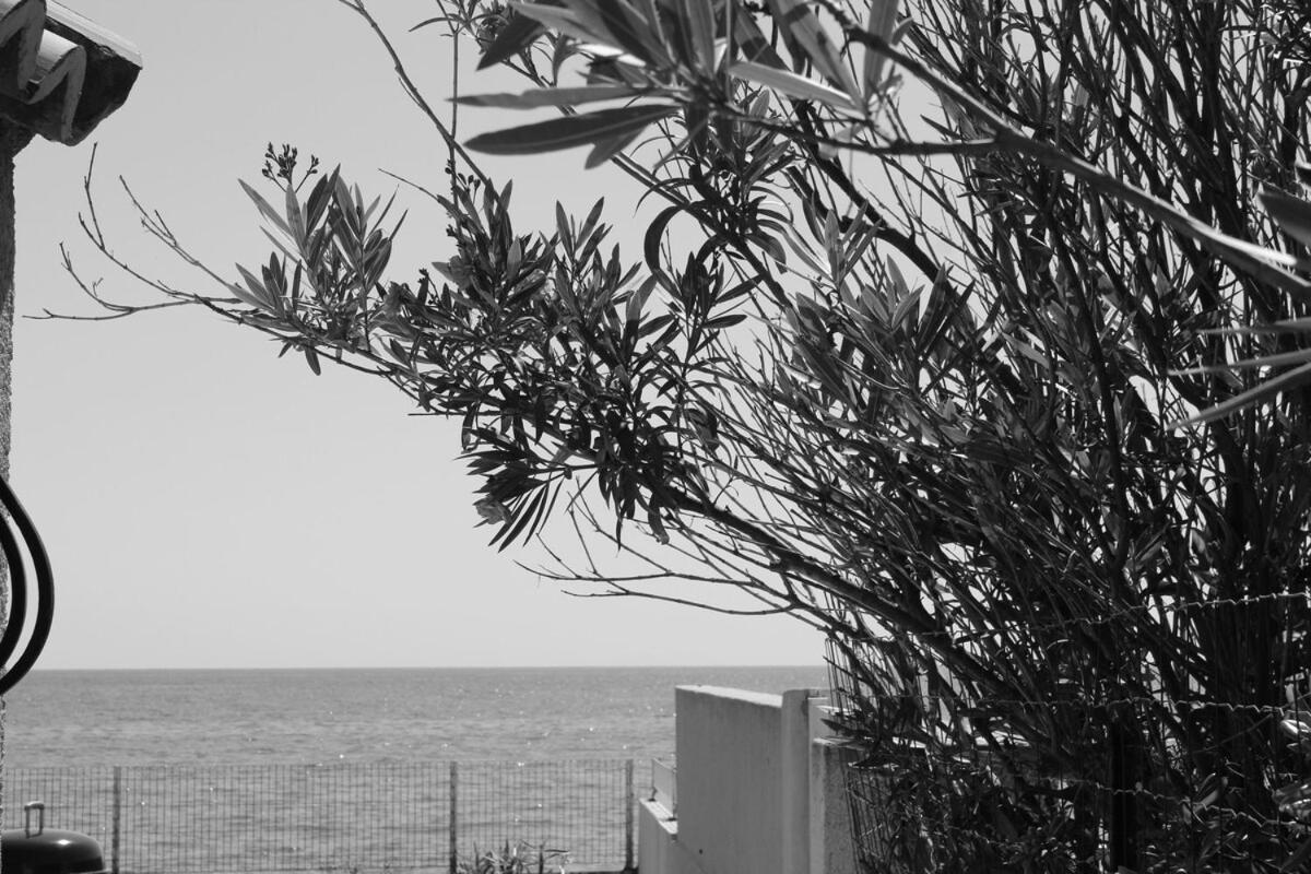 Bord de mer, pieds dans l'eau, vue panoramique Villa San-Nicolao Eksteriør bilde