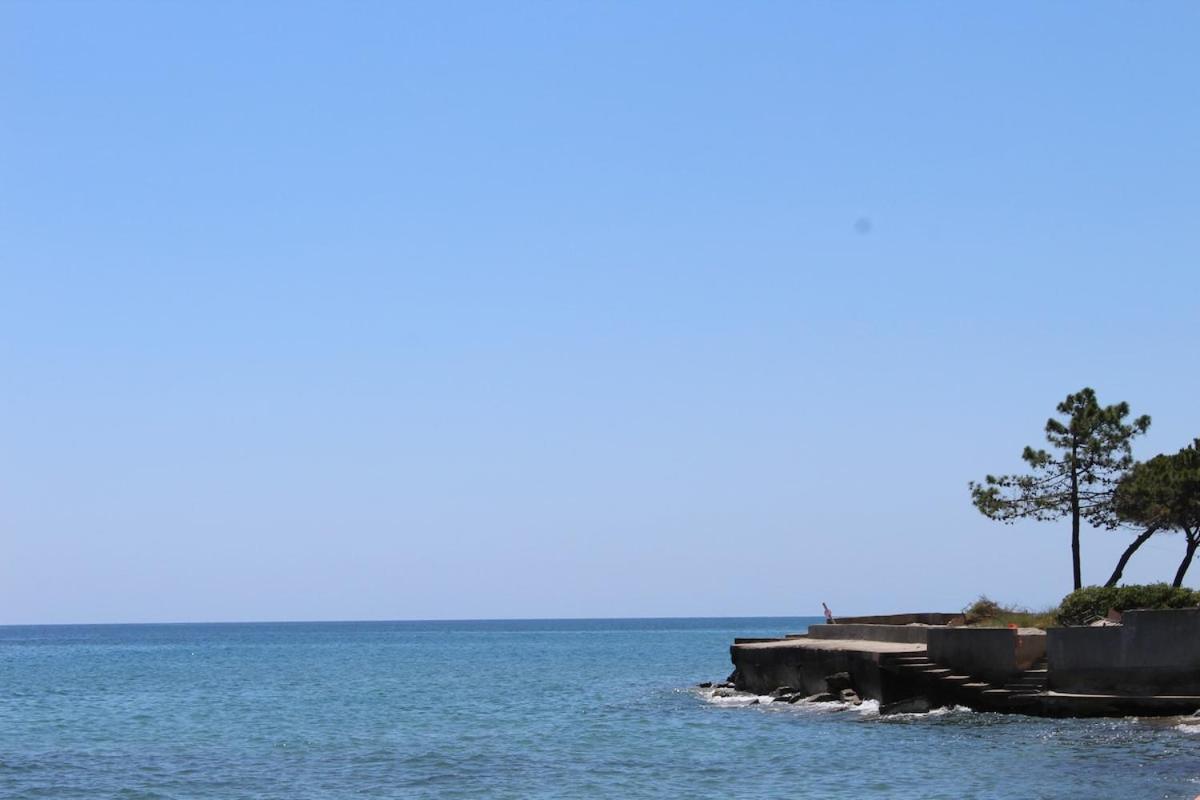 Bord de mer, pieds dans l'eau, vue panoramique Villa San-Nicolao Eksteriør bilde