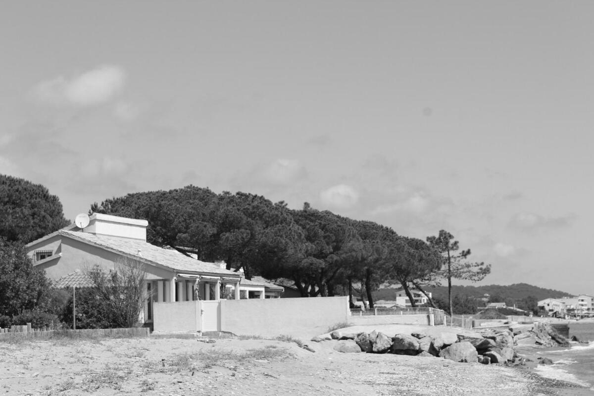 Bord de mer, pieds dans l'eau, vue panoramique Villa San-Nicolao Eksteriør bilde