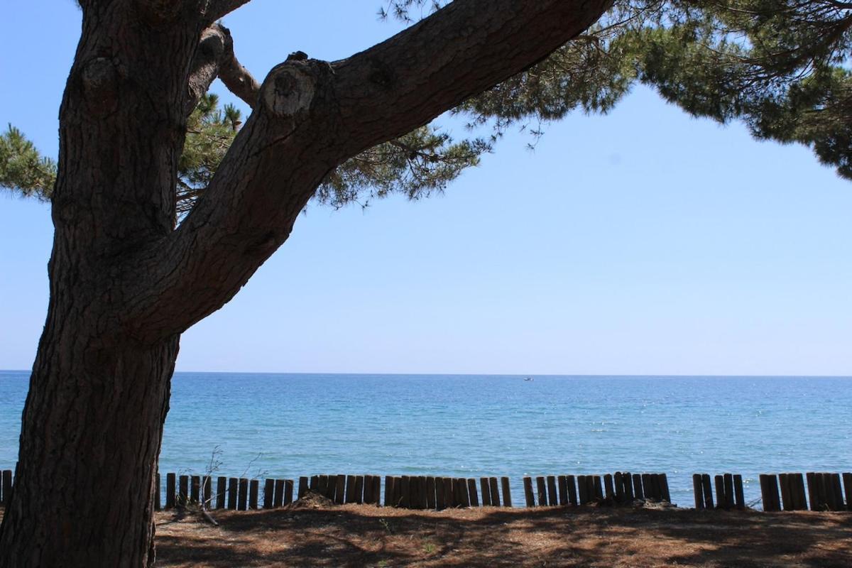 Bord de mer, pieds dans l'eau, vue panoramique Villa San-Nicolao Eksteriør bilde